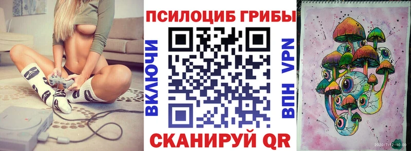 Галлюциногенные грибы Cubensis Купить где Гвардейск